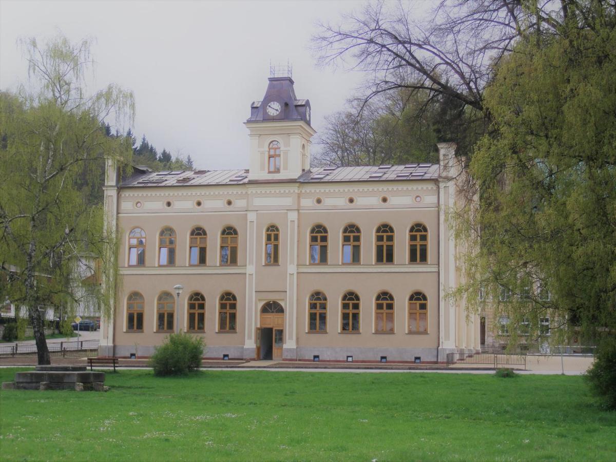 Ferienwohnung Pod Strechou Svoboda nad Úpou Exterior foto